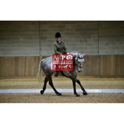 Moulton Equestrian 14th November 01