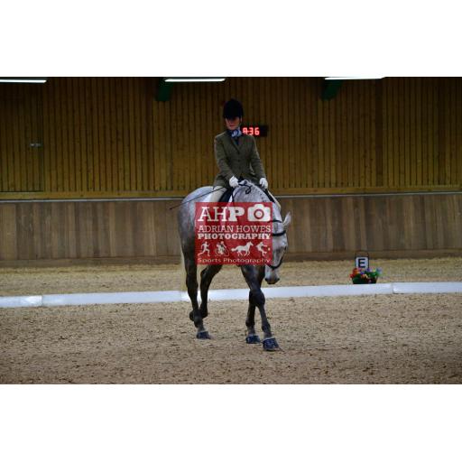 Moulton Equestrian 14th November