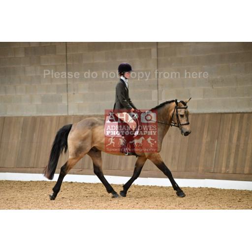 moul0107 (0318)
